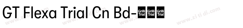 GT Flexa Trial Cn Bd字体转换